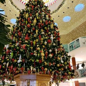 Meet your Posher, Amie